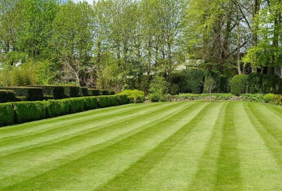 lawn care crewe